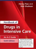 Handbook of Drugs in Intensive Care 6/Ed.